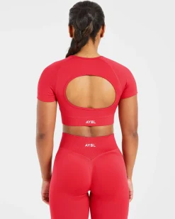 Adapt Seamless Crop Top