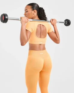 Adapt Seamless Crop Top